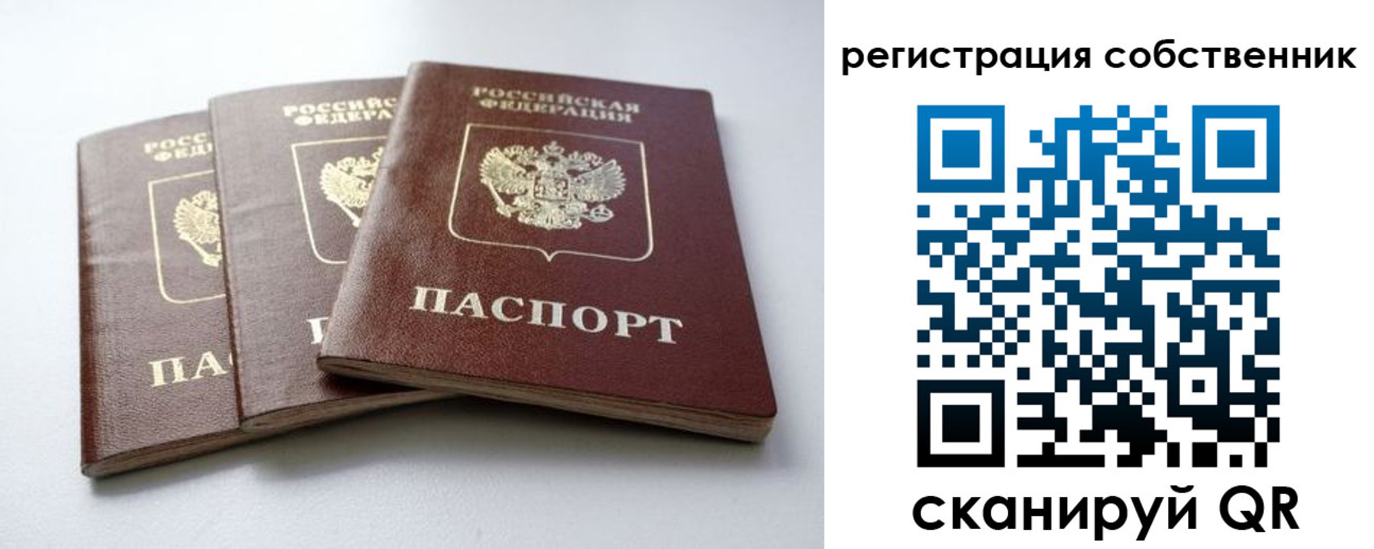 прописка для школы в Мурино